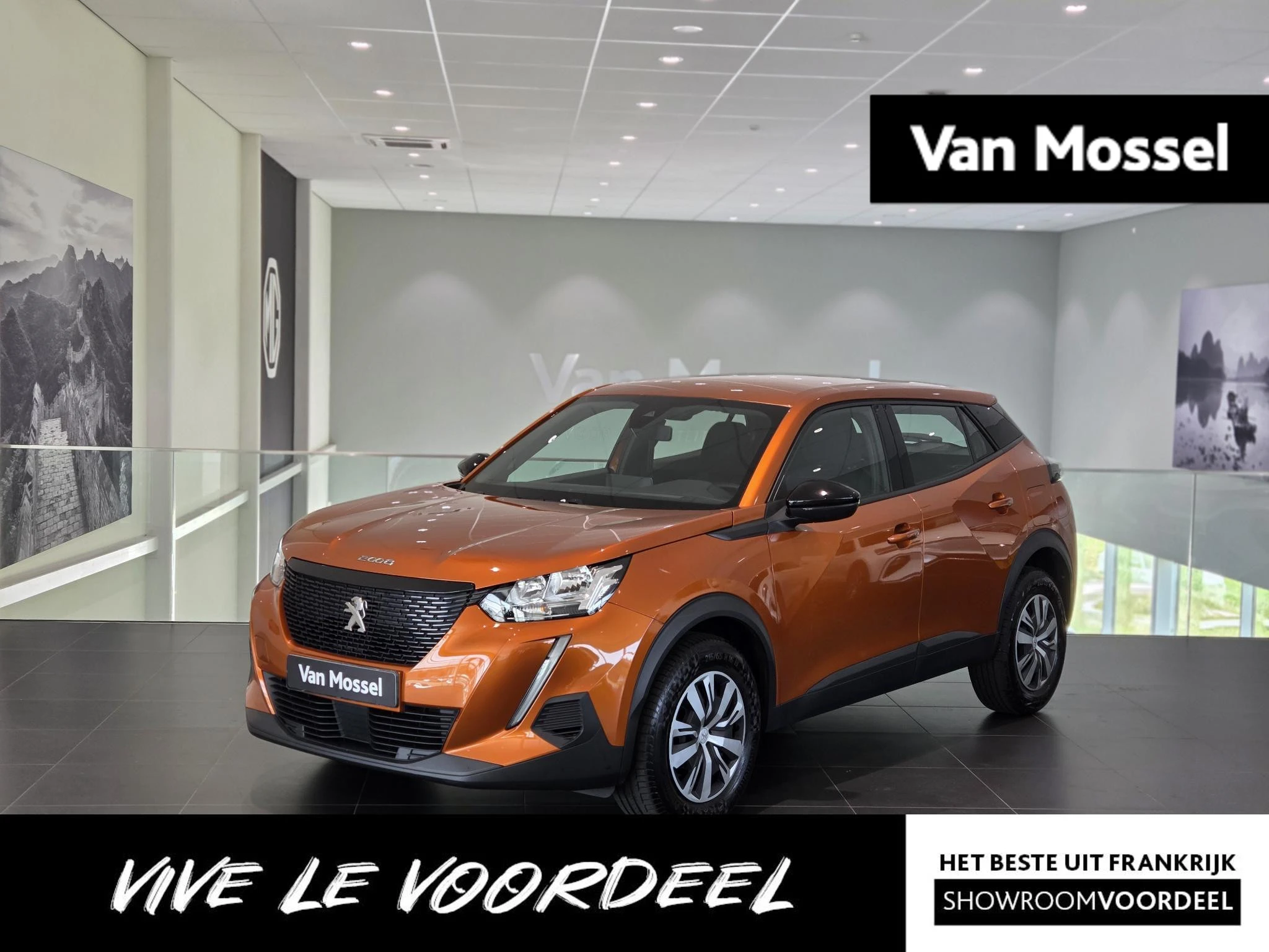 Peugeot 2008 met kenteken 55100 – autofoto 2