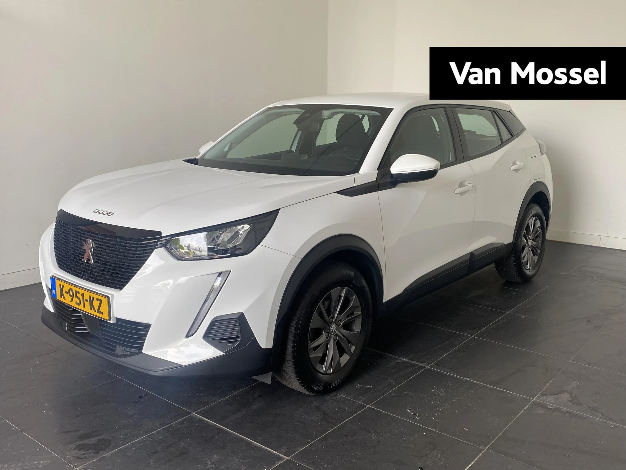 Peugeot 2008 met kenteken 55100 – autofoto 2