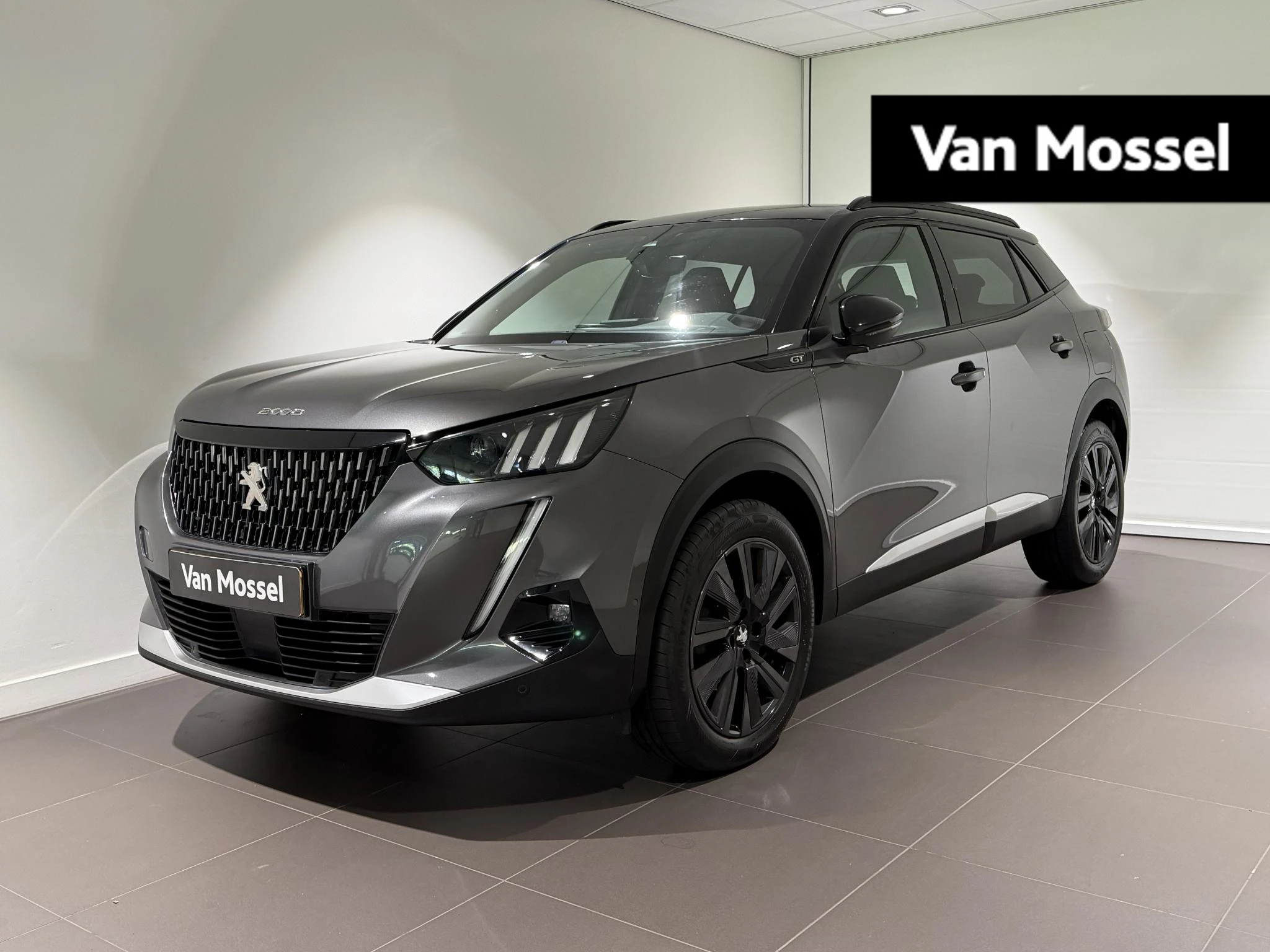 Peugeot 2008 met kenteken 58100 – autofoto 2