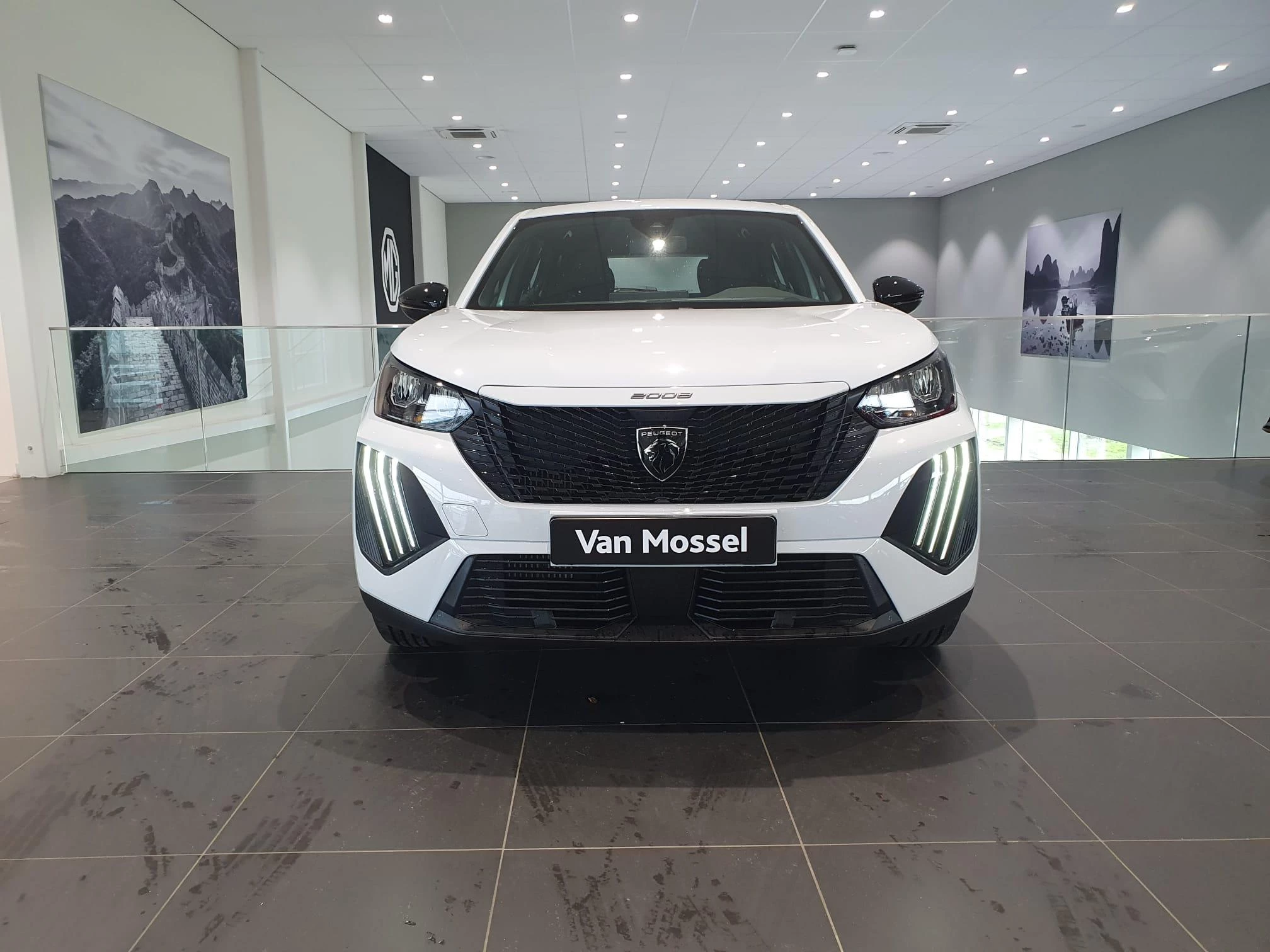 Peugeot 2008 met kenteken GRN-25-L – autofoto 5