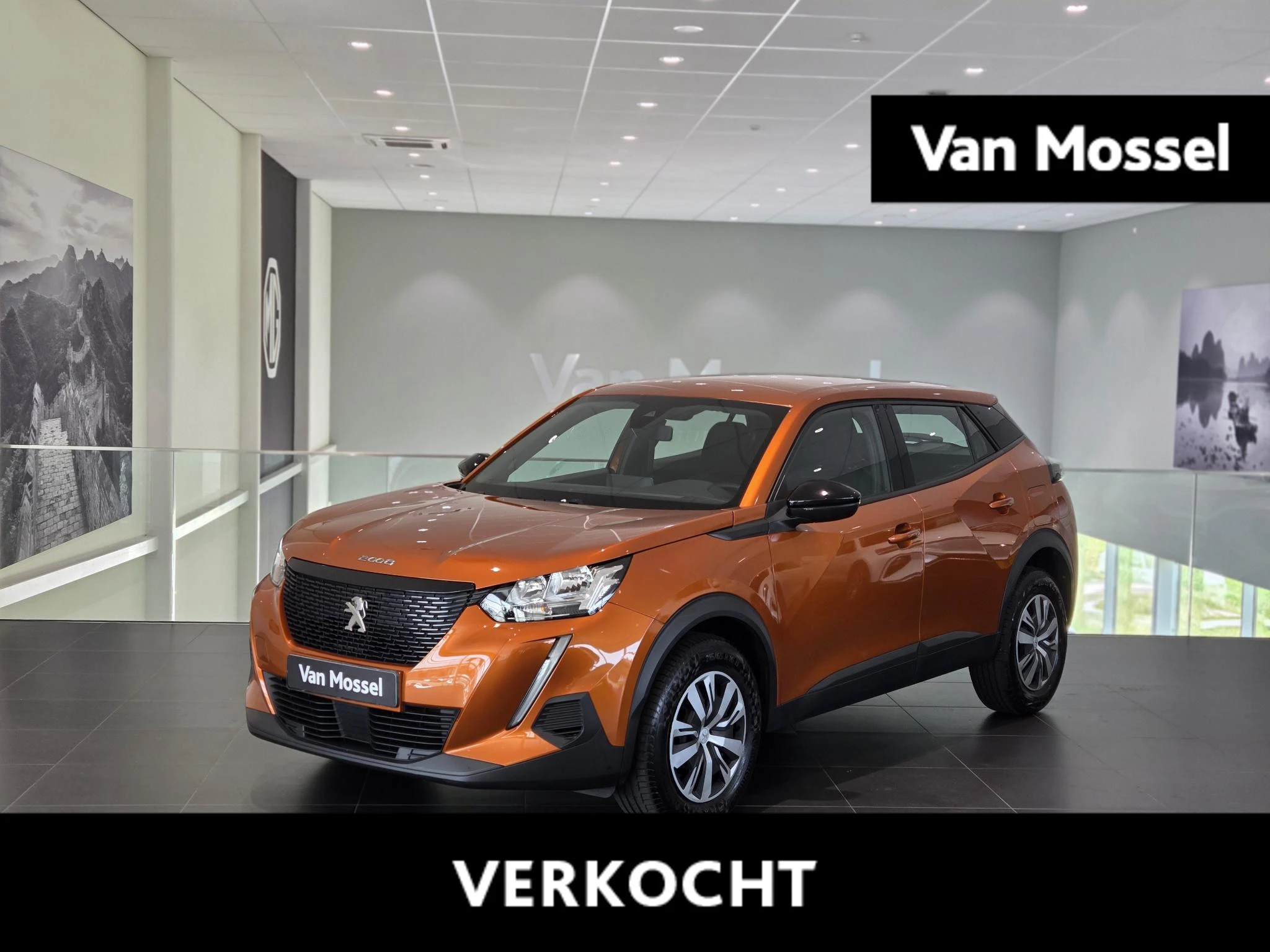 Peugeot 2008 met kenteken R-032-TK – autofoto 2