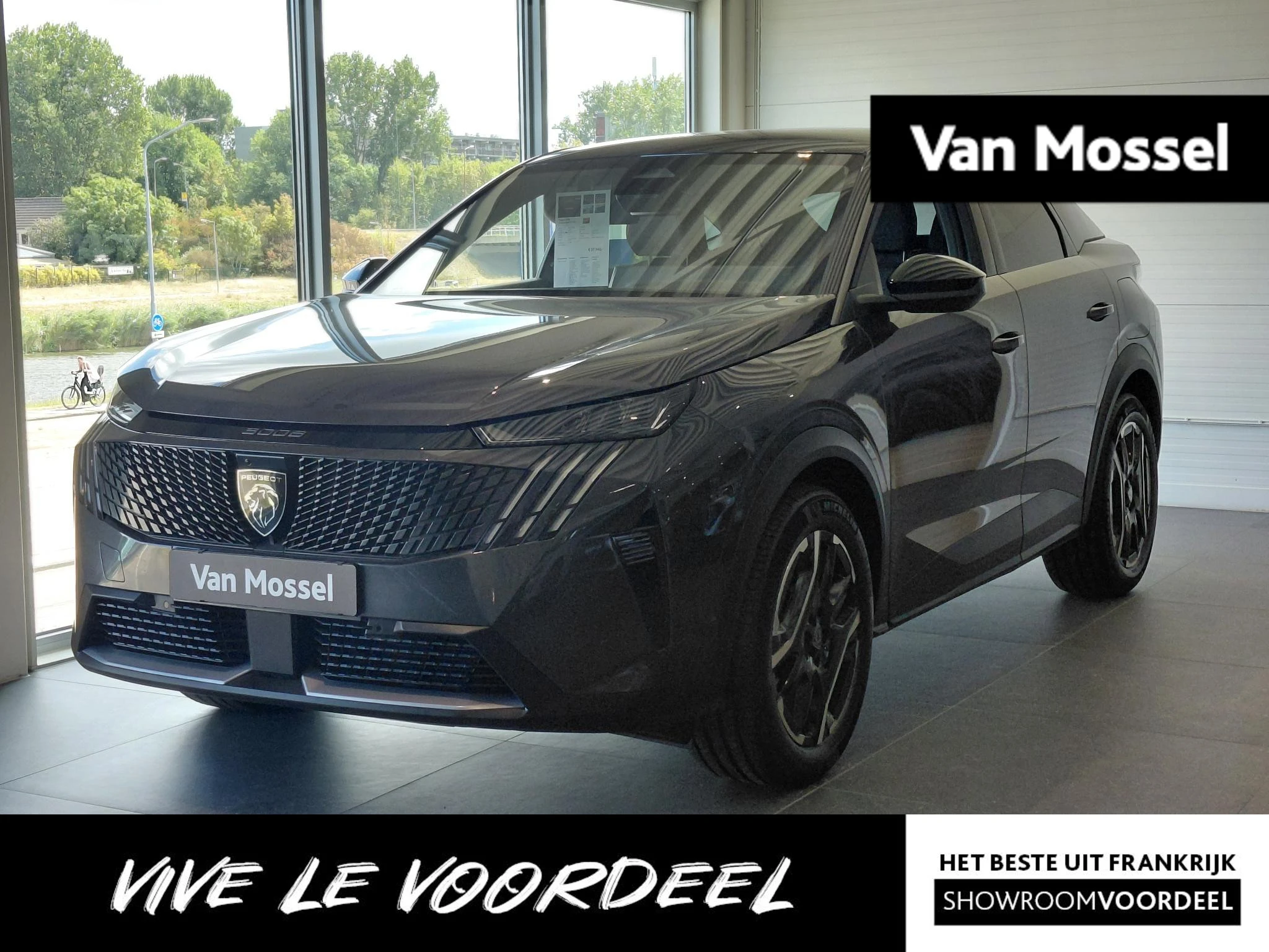 Peugeot 3008 met kenteken 09100 – autofoto 2