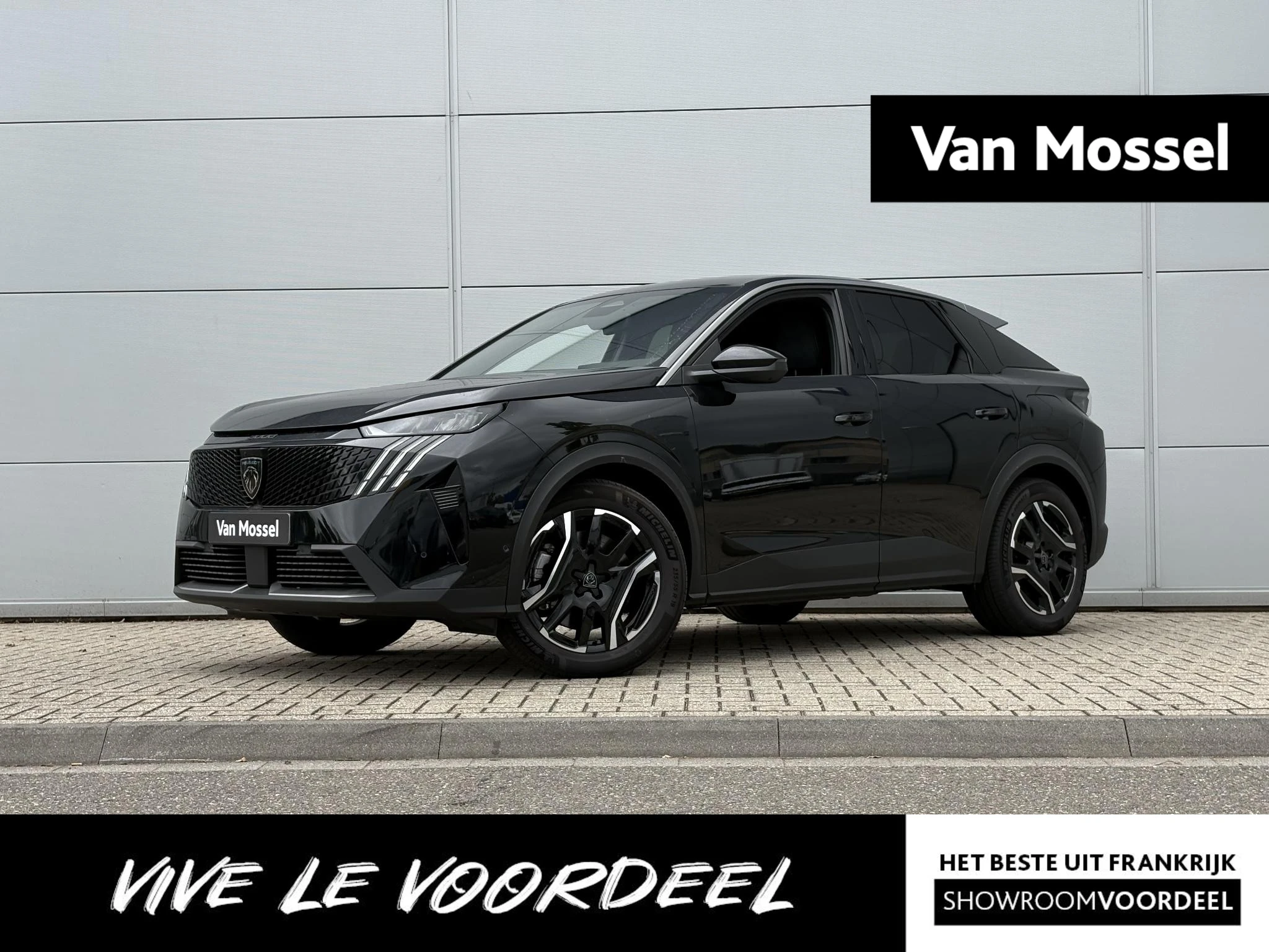 Peugeot 3008 met kenteken 09100 – autofoto 2
