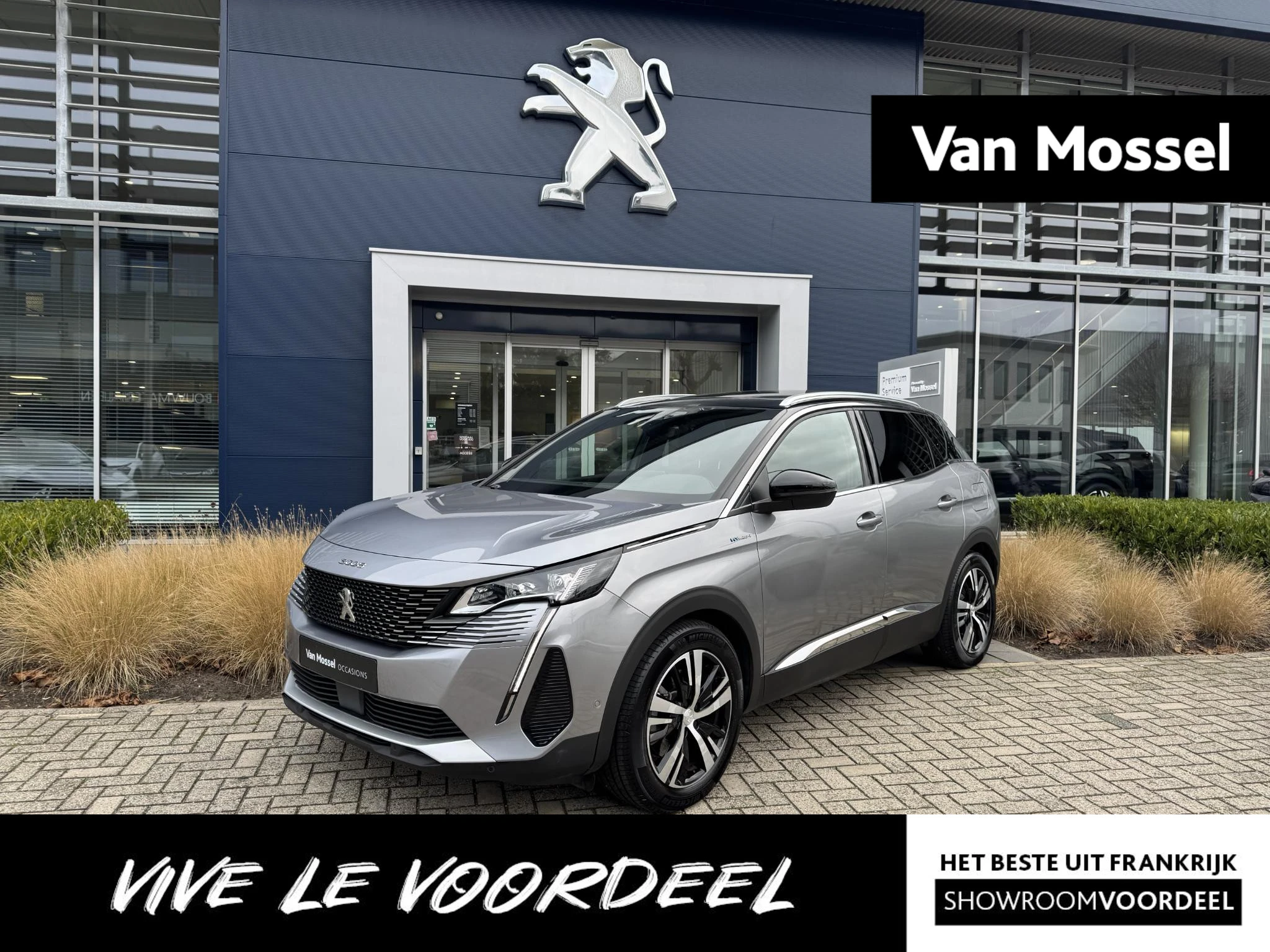 Peugeot 3008 met kenteken 13100 – autofoto 2