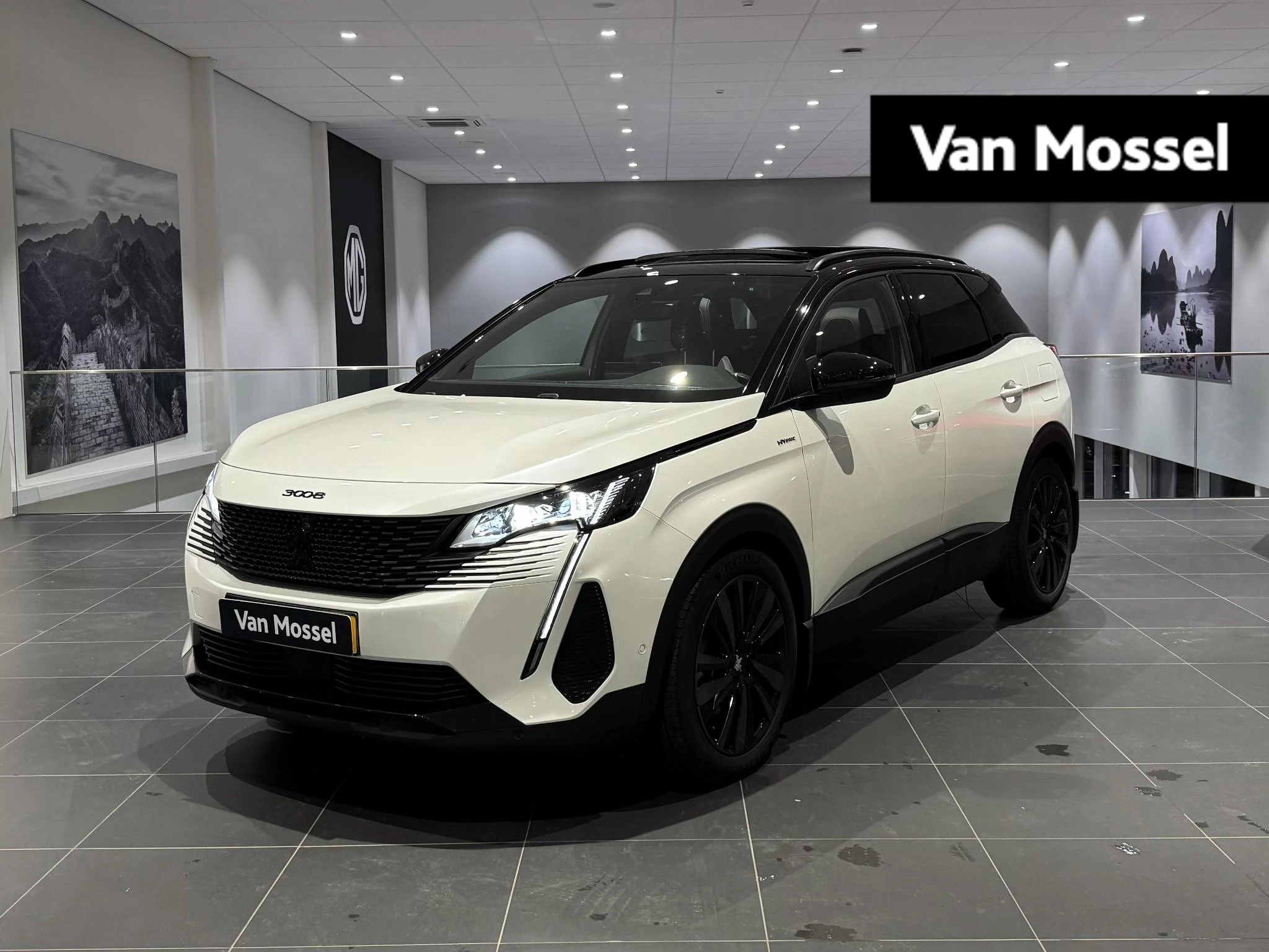 Peugeot 3008 met kenteken 14100 – autofoto 2