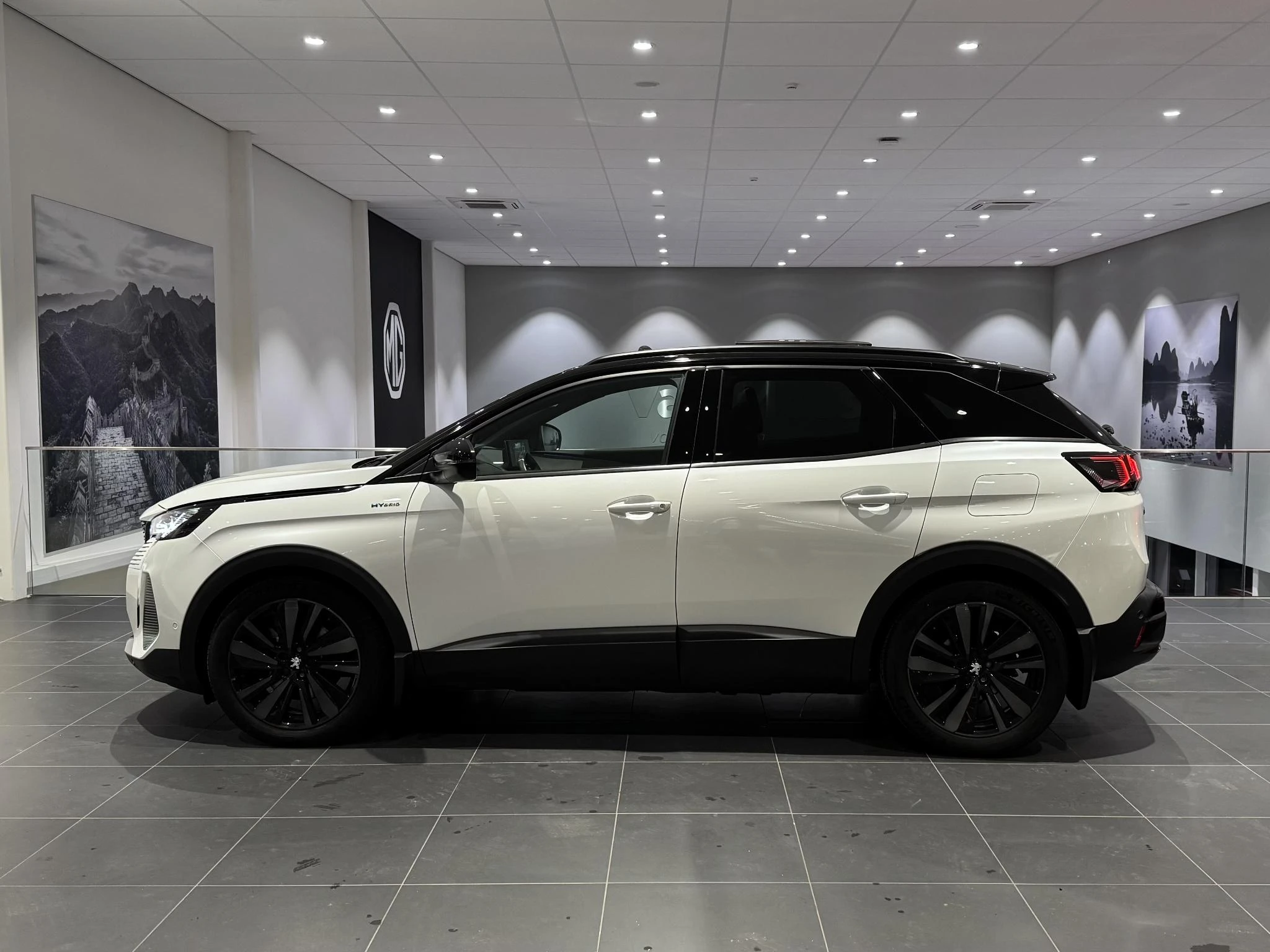 Peugeot 3008 met kenteken 14100 – autofoto 4