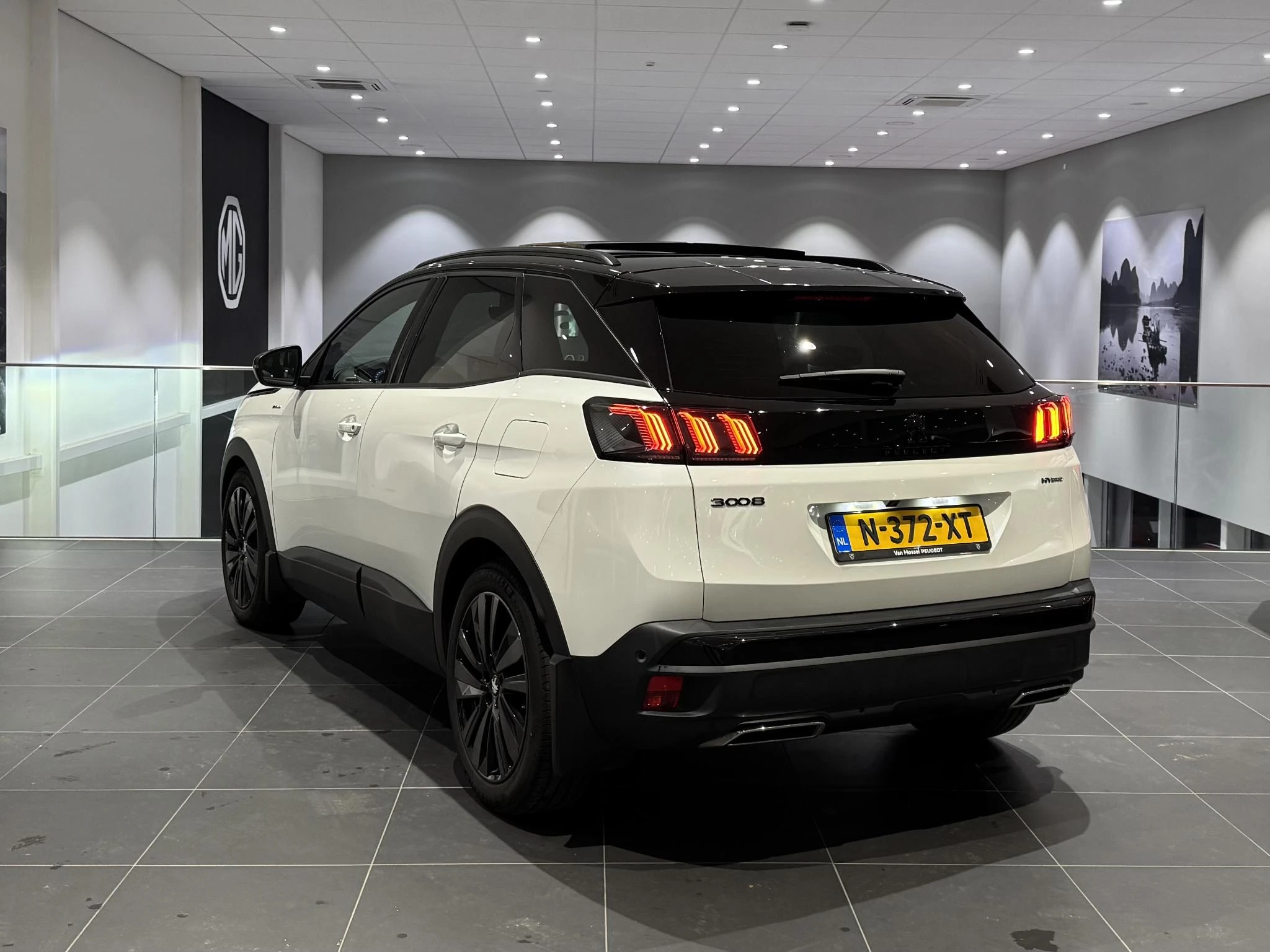 Peugeot 3008 met kenteken 14100 – autofoto 5
