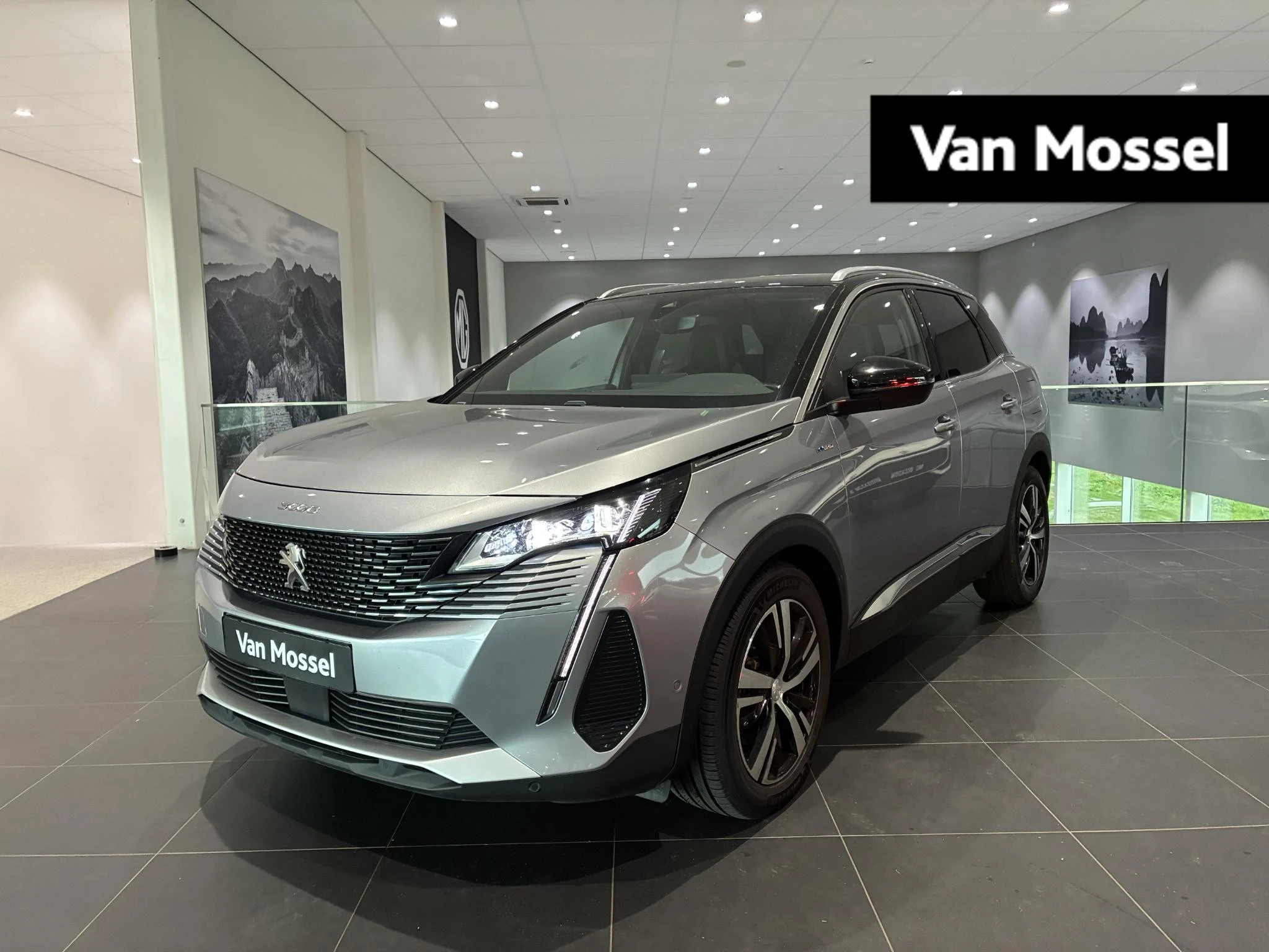 Peugeot 3008 met kenteken 56 – autofoto 2