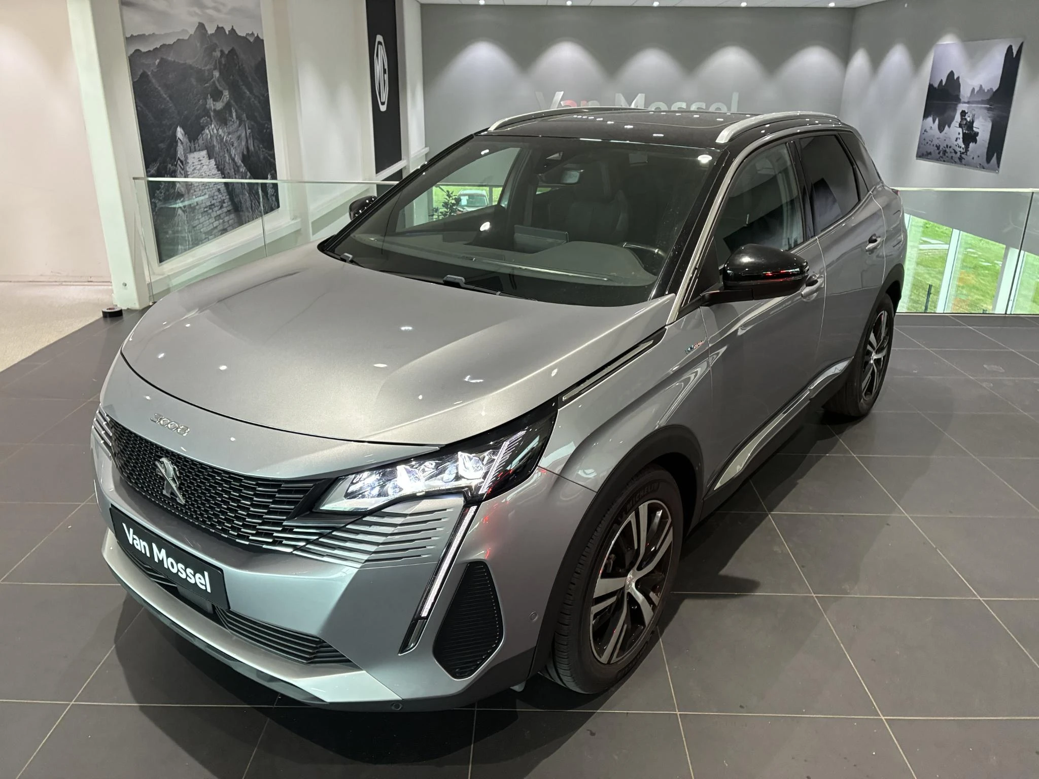 Peugeot 3008 met kenteken 56 – autofoto 4