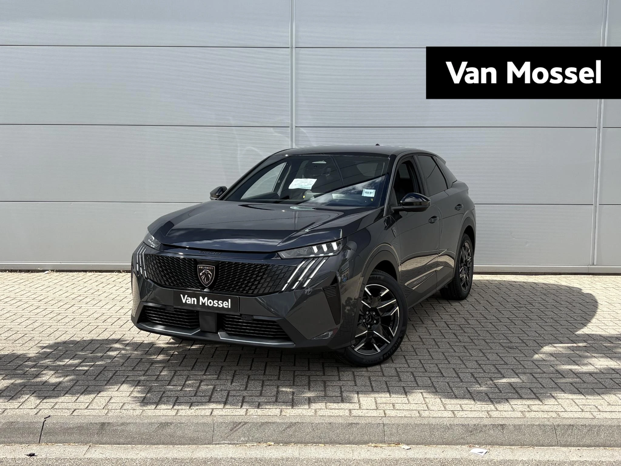 Peugeot 3008 – autofoto 2