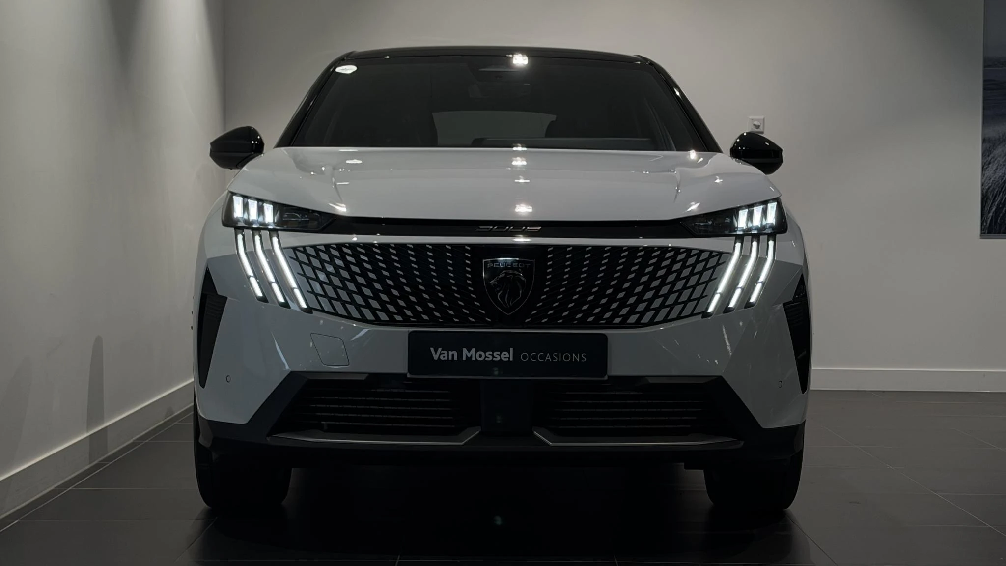 Peugeot 3008 – autofoto 4