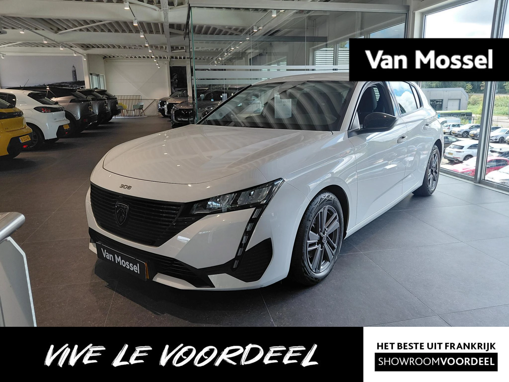 Peugeot 308 met kenteken P-510-SK – autofoto 2