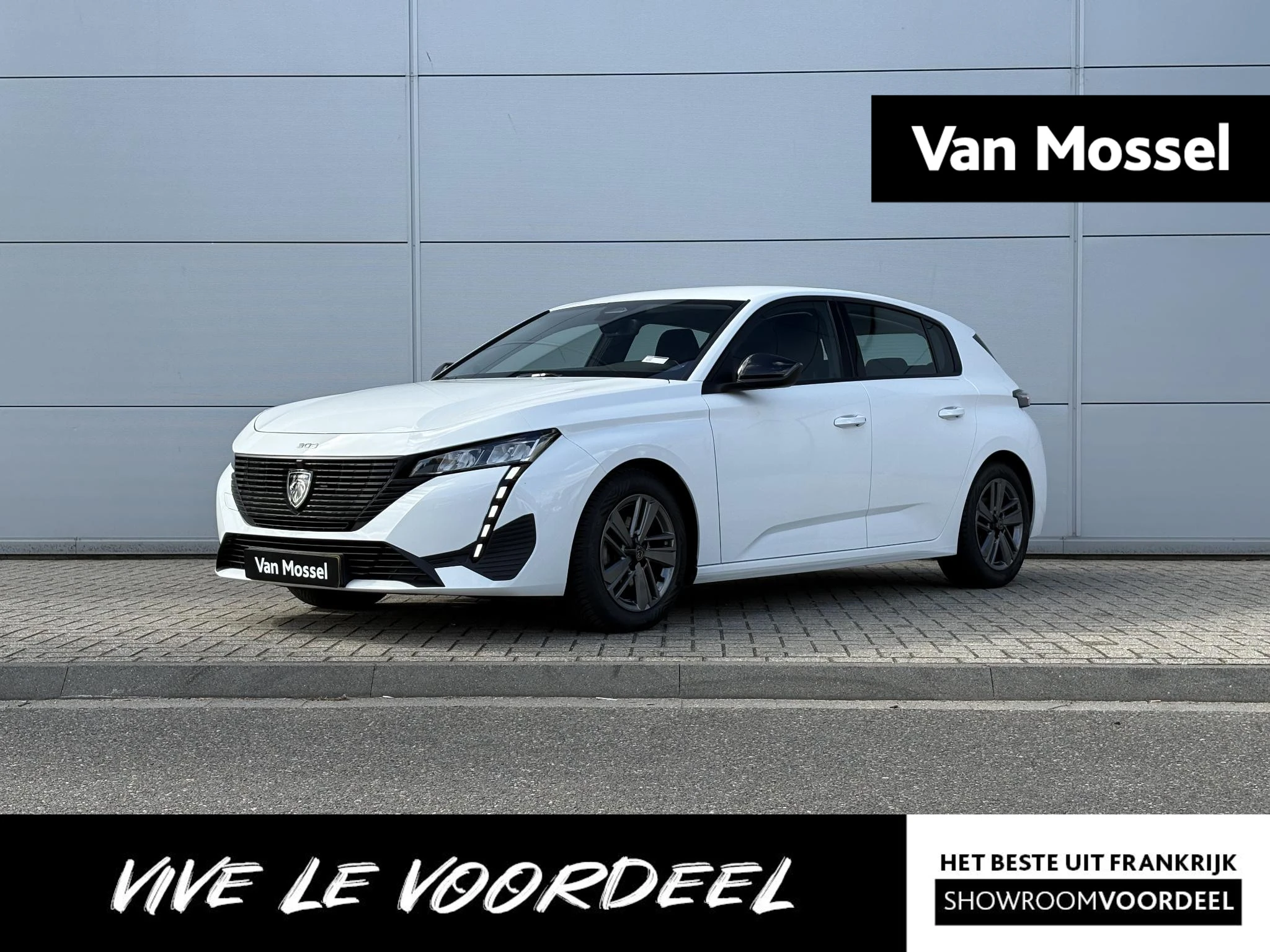 Peugeot 308 met kenteken S-293-RG – autofoto 2