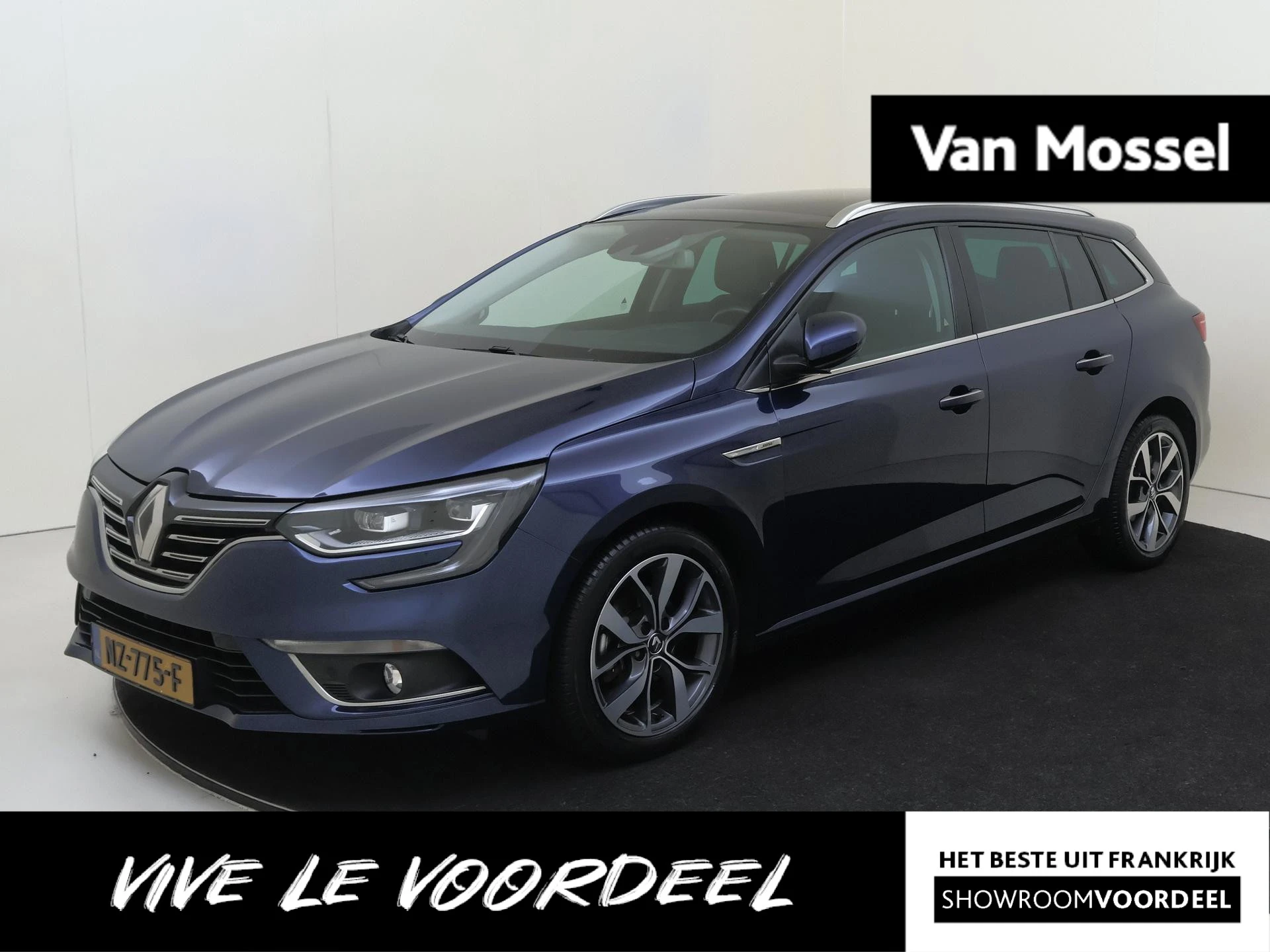 Renault MéganeEstate met kenteken 54100 – autofoto 2