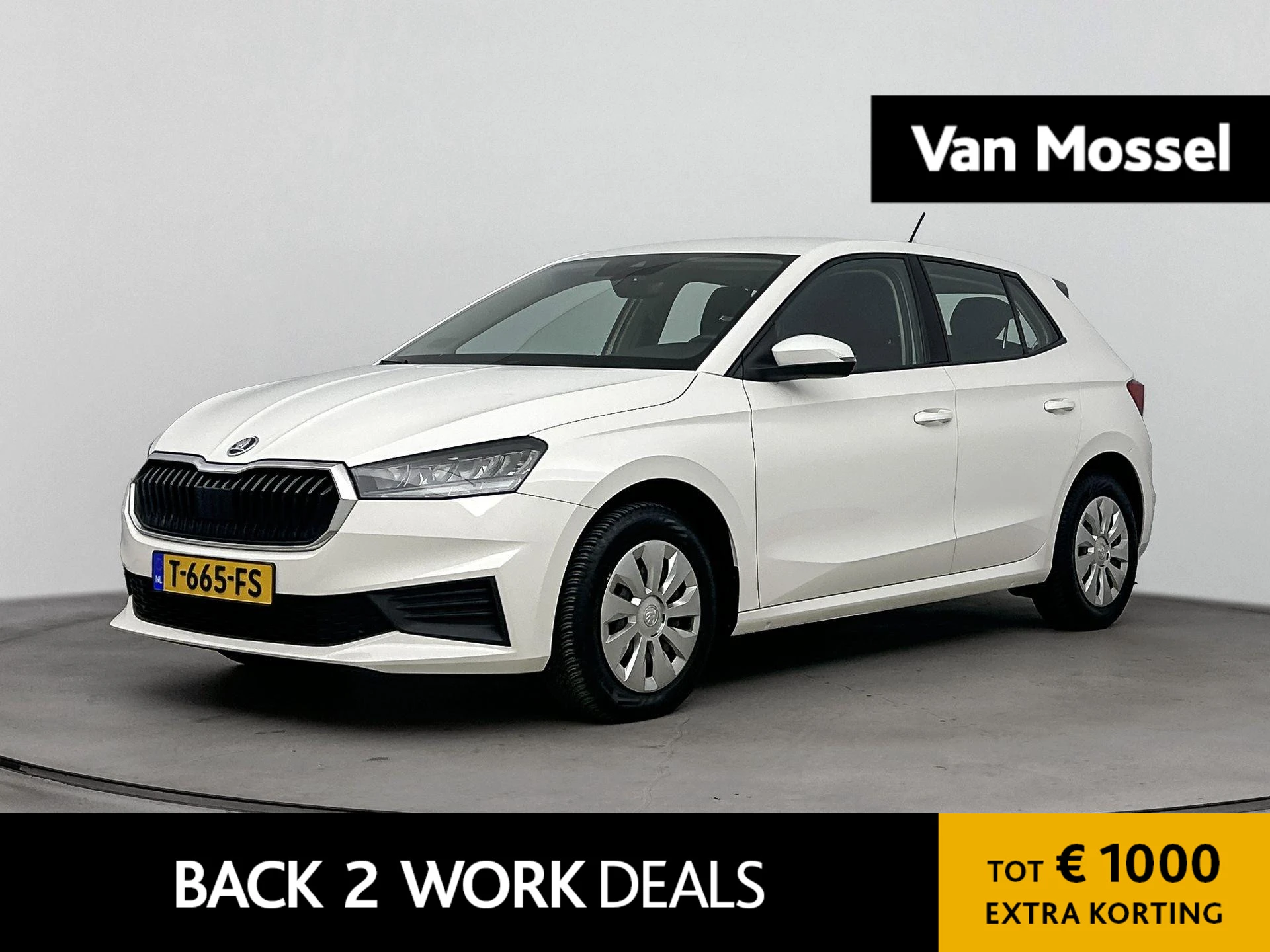 Skoda Fabia met kenteken T-665-FS – autofoto 2