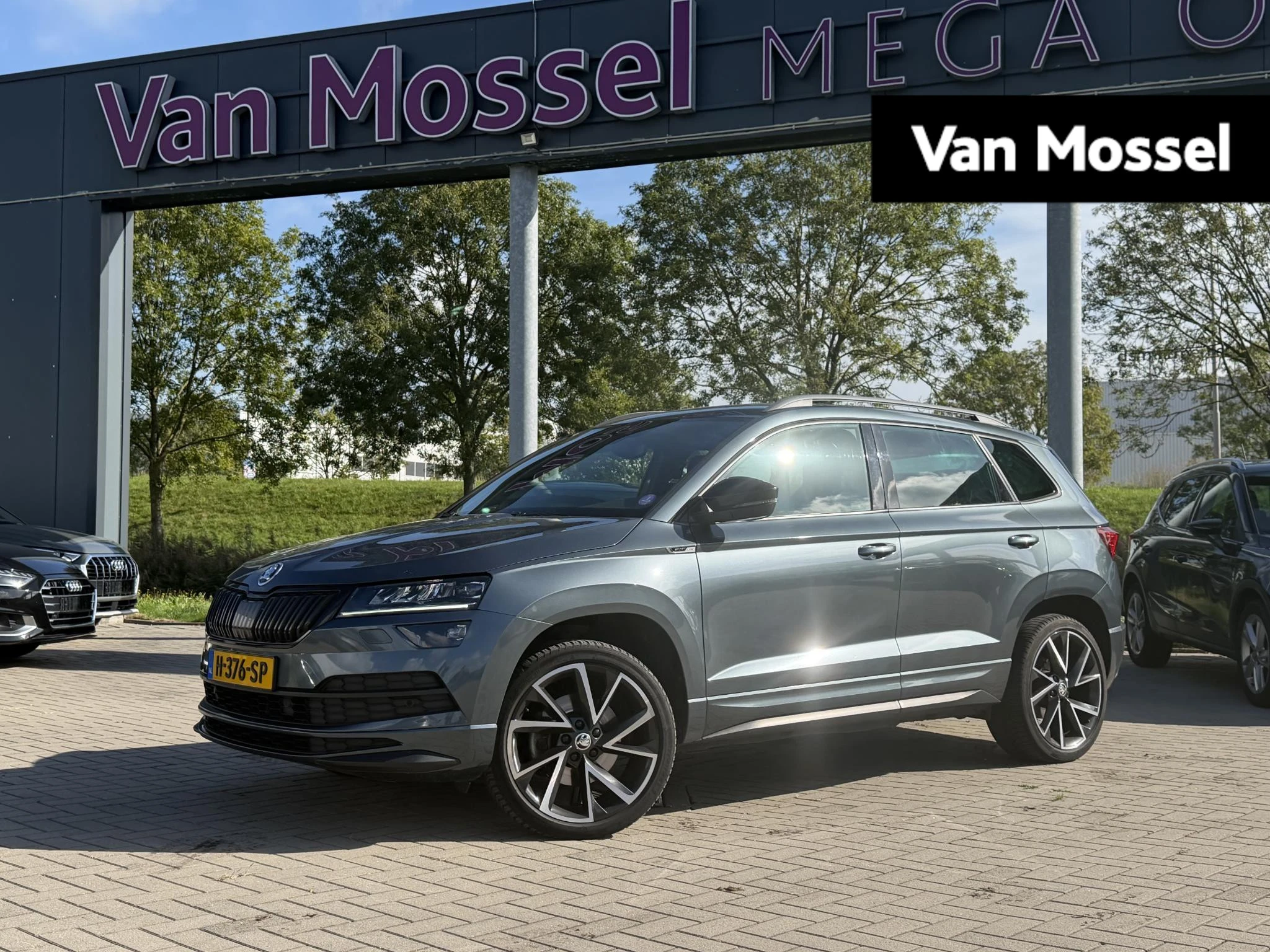 Skoda Karoq met kenteken 66100 – autofoto 2