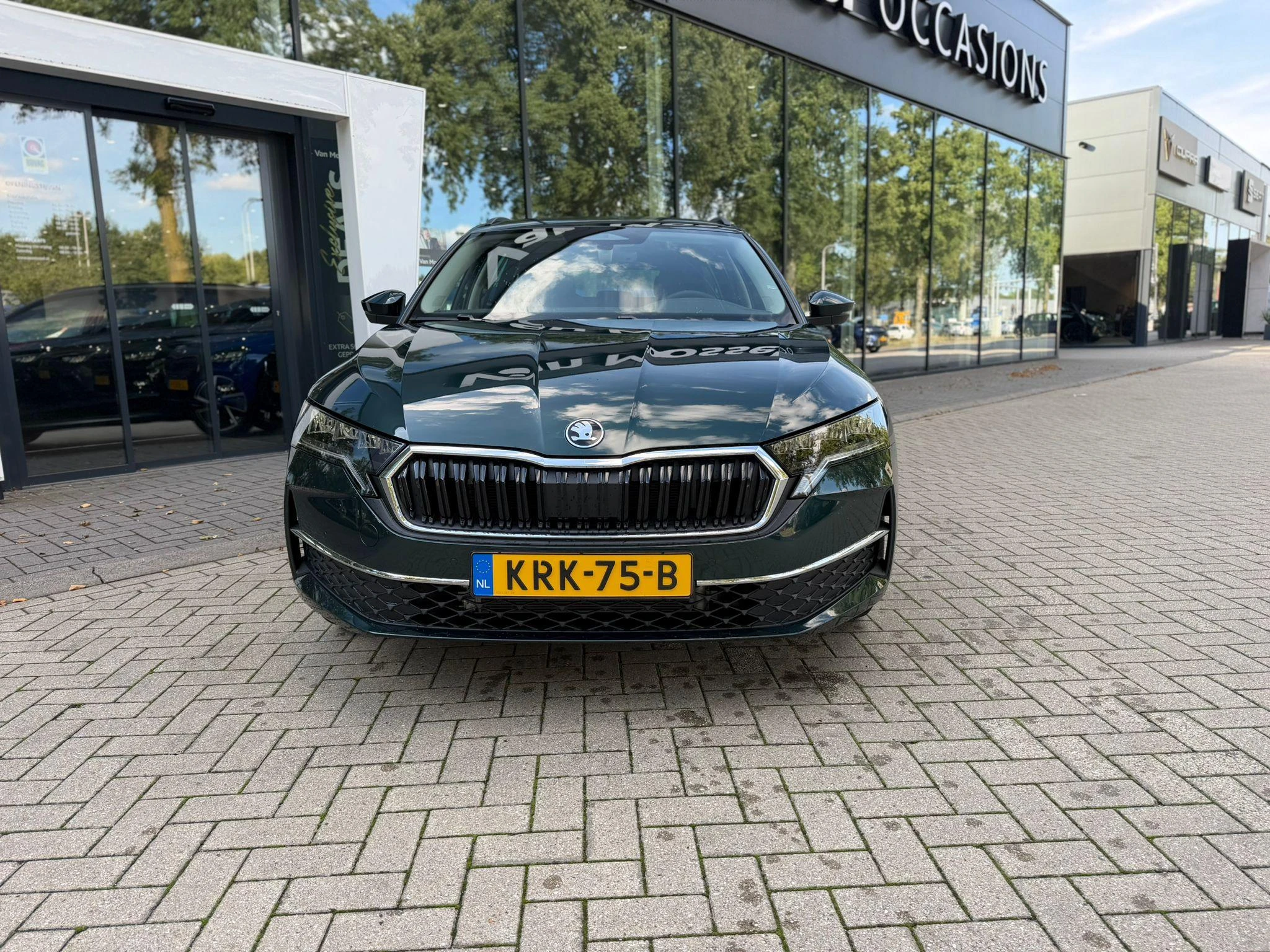 Skoda Octavia – autofoto 4