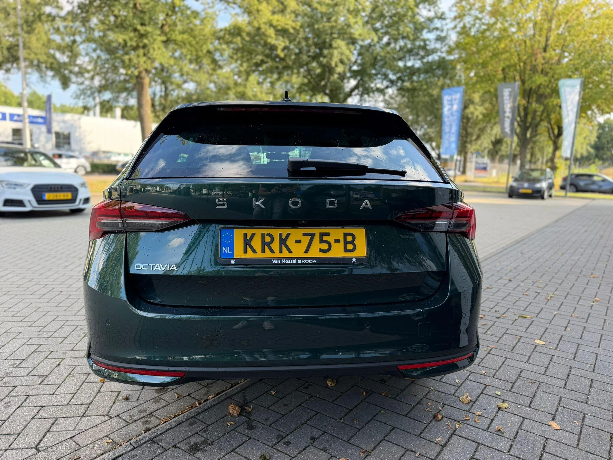Skoda Octavia – autofoto 5