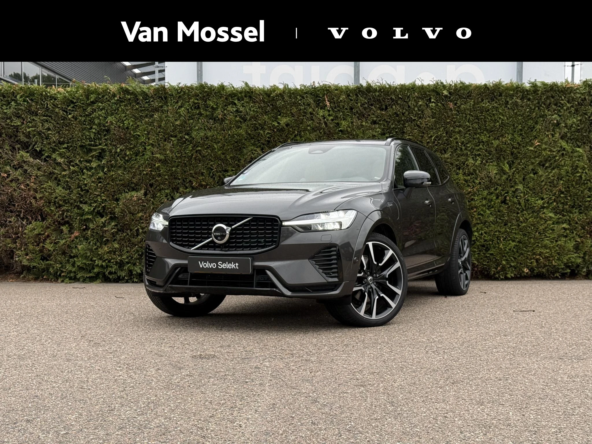 Volvo XC60 met kenteken S-142-RP – autofoto 2