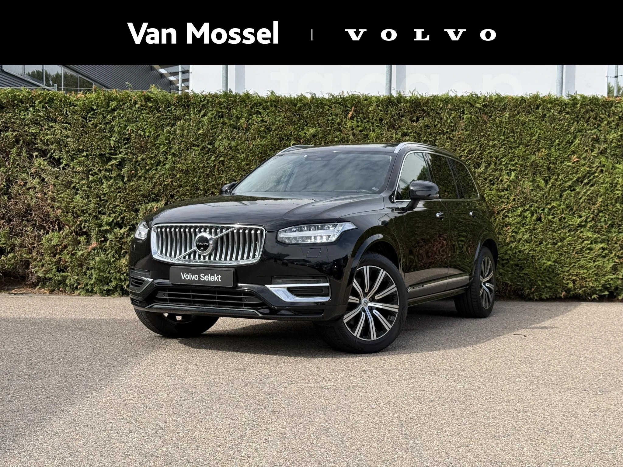 Volvo XC90 met kenteken P-446-HV – autofoto 2